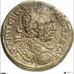 Augusta Traiana 3779