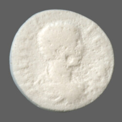 Augusta Traiana 9958