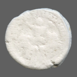 Augusta Traiana 9583