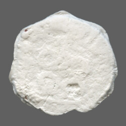 Augusta Traiana 9471