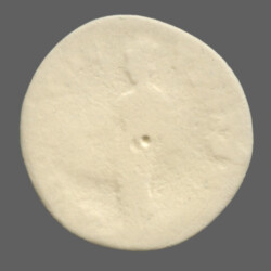 Augusta Traiana 9354