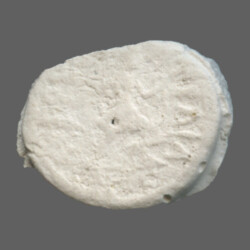 Augusta Traiana 9974