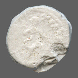 Augusta Traiana 9949