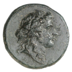 Perinthos 54494